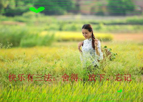 你的未来，与我无关：后续小说全文+番外宋言心乔琛小说在线阅读