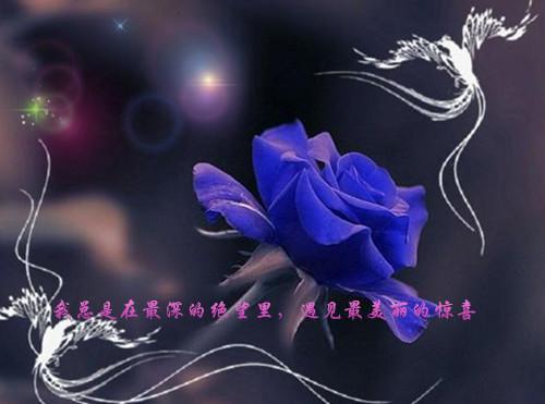 未婚夫为养妹夺我黄金瞳后他疯魔了季淮书沈知微全文免费阅读(已完结)