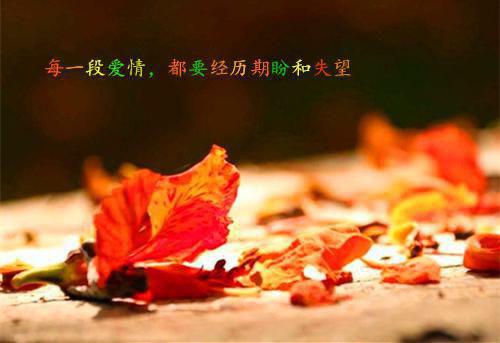 假情假意的爱小说完整版 裴钧晟崔艺眠在线阅读