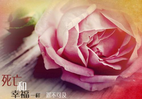 全网首发九零大院娇妻傅寒沉小说叫什么(乔软傅寒沉)（九零大院娇妻傅寒沉）全书阅读纯净阅读