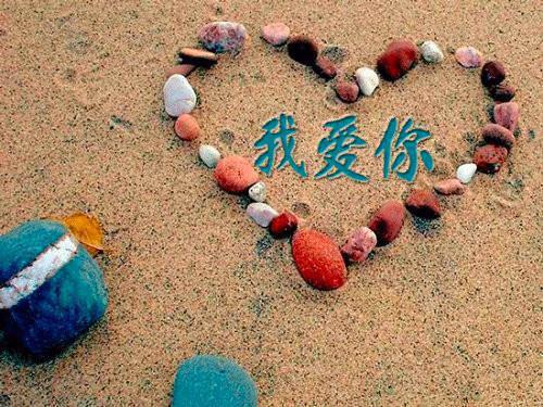 (抖音小说)苏琳琳林曦曦免费阅读