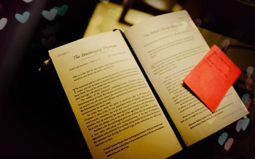 未婚夫结婚前夜失忆了免费无弹窗 林耀飞小说阅读