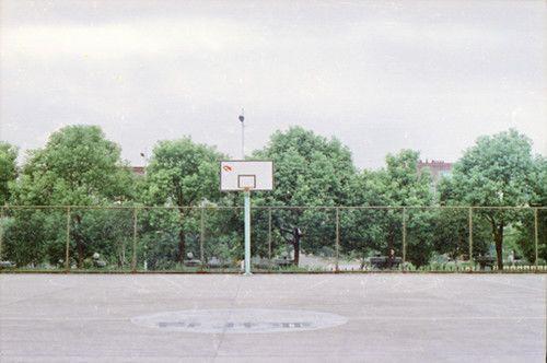 帮同事买股后，我倒欠五十万在线阅读 周宛宛张强小说