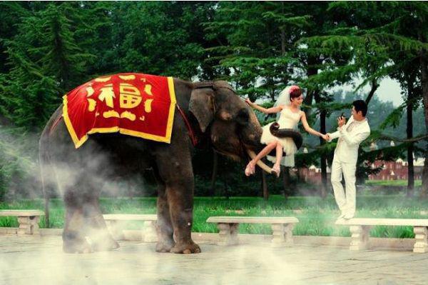 顾谨川白媛媛最新章节免费 顾谨川白媛媛第1章在线阅读