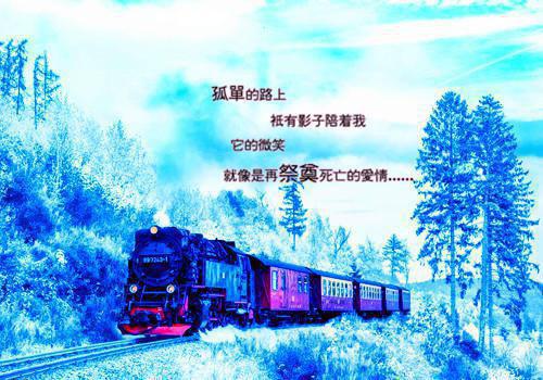 流年错付化烬尘：结局+番外（顾承安唐书婉）全文免费阅读无弹窗大结局_流年错付化烬尘：结局+番外最新章节列表_笔趣阁（顾承安唐书婉）