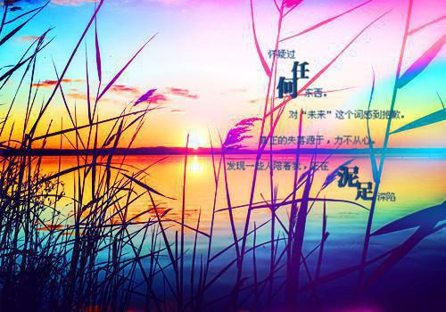 小巷人家：穿成黄玲后又凶又癫小说完整版 黄玲陈琳在线阅读