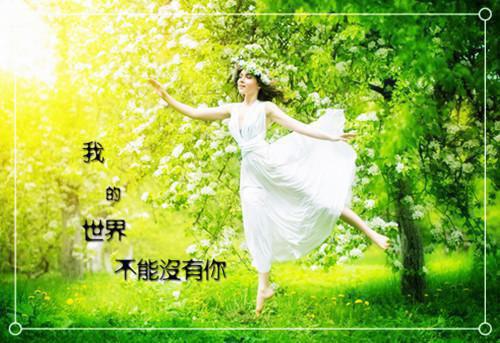 萧珩叶延小说目录 萧珩叶延完整免费版阅读