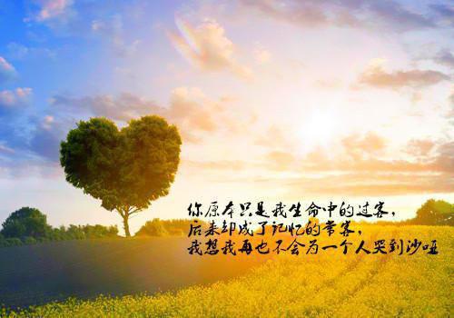 周雅沈叙言白柔小说 周雅沈叙言白柔全文免费阅读
