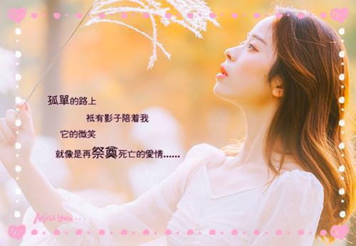 许棠贺云卿江阮裴泽铭完整版 许棠贺云卿江阮裴泽铭小说全文在线阅读