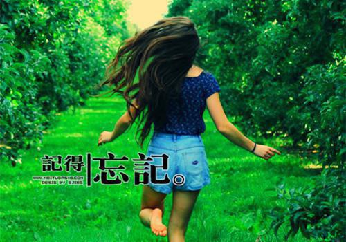 一枕黄粱半生梦：后续+全文阅读（萧棠音顾临淮）最新章节_一枕黄粱半生梦：后续+全文阅读