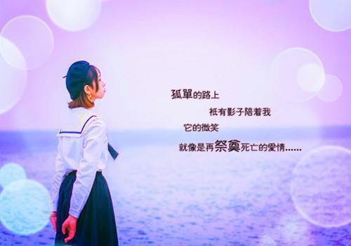 傅雨晴宋斯珩是哪部小说的主角 傅雨晴宋斯珩全文阅读