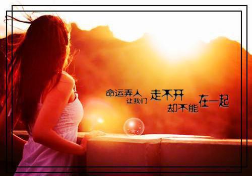陆宴苏笙姜梦小说免费阅读最新 持证打脸完整版