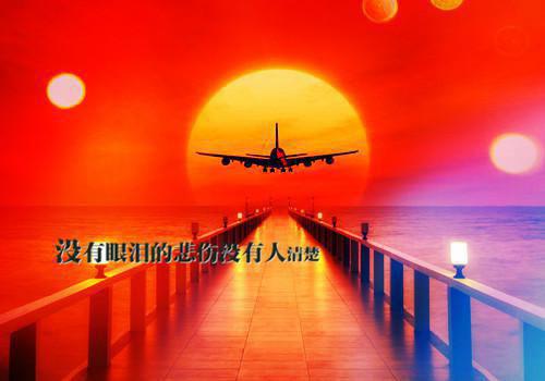 江疏桐闻时砚免费小说 江疏桐闻时砚在线阅读