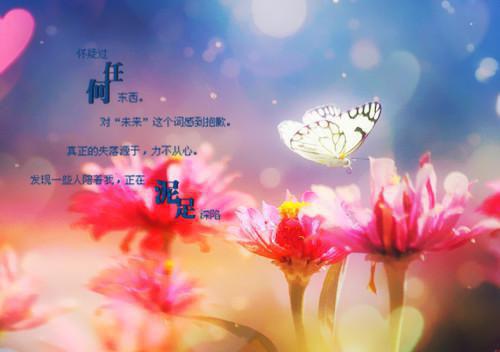 全本醒时又是今年春：+后续+结局（叶舒柠陆怀安）最新章节列表_全本醒时又是今年春：+后续+结局全文阅读