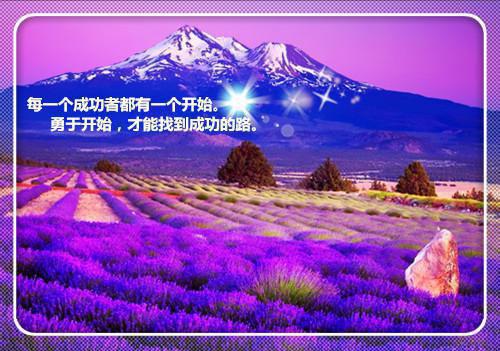 唐宋祁茉白小说在哪里看 唐宋祁茉白在线阅读第5章