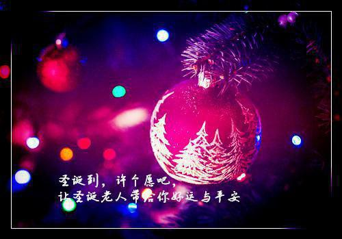 妻子和金毛一起做瑜伽，我直接离婚(星火)小说最新章节