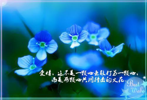 陶静安徐砚程全文阅读 陶静安徐砚程小说最新章节