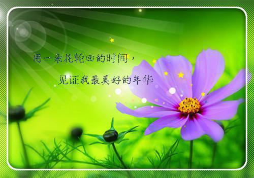 傅念琛向晚完整版 傅念琛向晚小说全文在线阅读