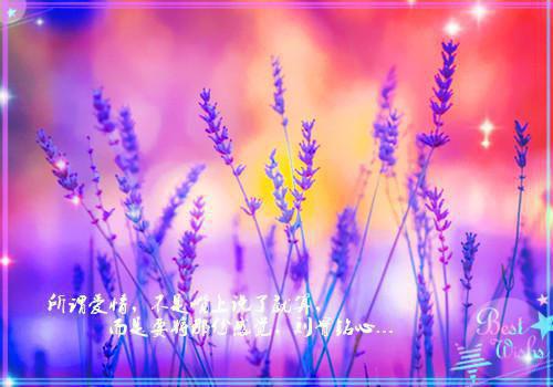 明溪温羡萧策哪里可以看 明溪温羡萧策免费阅读第12章