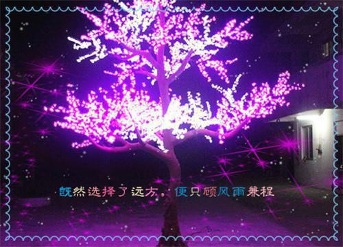江若妤江瑶免费大结局 打脸为偷我成绩私生女下注的童养夫完结小说