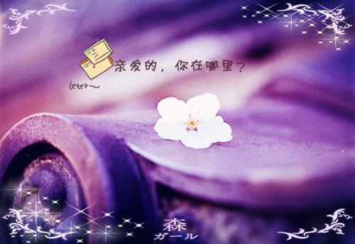 夏思淼祁司野（夏思淼祁司野：结局+番外）完整全文在线阅读_夏思淼祁司野全章节目录阅读（夏思淼祁司野：结局+番外）