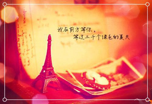 儿子生日老公开挖机炸别墅后，他悔疯了赵明宇周若若最新章节在线阅读