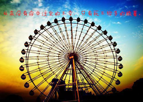 简知鸢陆青野小说免费试读 简知鸢陆青野第4章