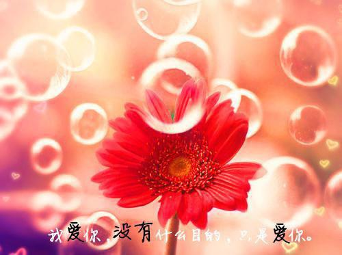 《宁暖商北琛小说》无弹窗全文免费阅读