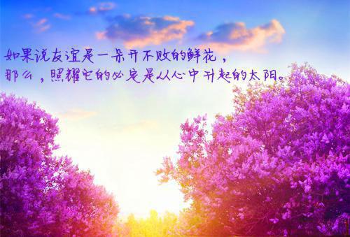傅书妤陆妄迟小说在哪里看 傅书妤陆妄迟在线阅读第二章
