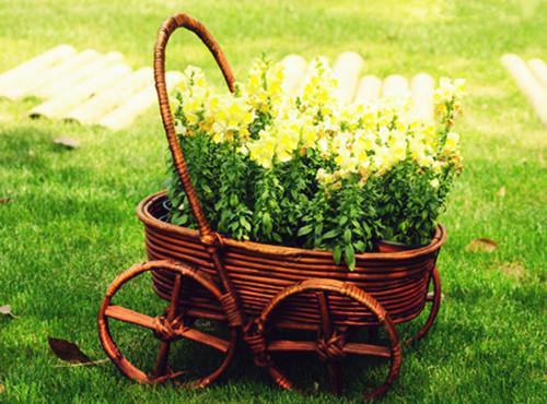 圣女娘子害死我全家后，我重生了柳朝云柳依依免费章节在线阅读