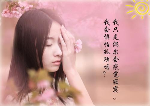 明月曾独照于我 主角夏晚宁江晏川小说