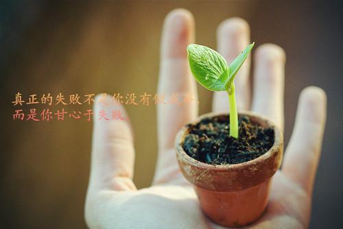 途径一场风月精品选集（宋泠音商予淮）最新章节_途径一场风月精品选集全文阅读