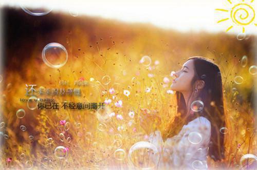 萧千羽楚墨凌小说全免读 萧千羽楚墨凌第四章在线阅读