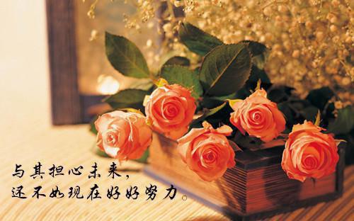 爱意死于盛夏沈南霍欣：全文+番外免费阅读 沈南霍欣小说无弹窗