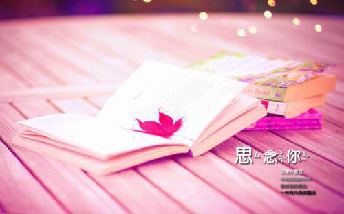 教授老公的迷妹 主角沈宴时夏浅浅小说