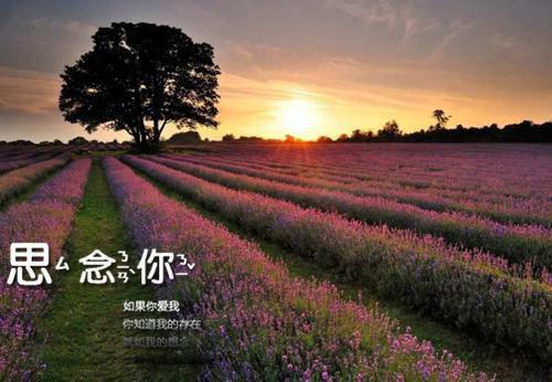 最新章节不念不爱不思君：精彩节选（柯褚绮魏修宁）_不念不爱不思君：精彩节选柯褚绮魏修宁最新章节