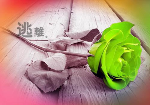 产检报告一切正常，全家却都盼着我去死：全文+后续+结局（师成安茵茵）最新章节列表_产检报告一切正常，全家却都盼着我去死（师成安茵茵）产检报告一切正常，全家却都盼着我去死：全文+后续+结局在线阅读