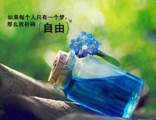 (番外)+(全文)请予我告别:结局+番外小说免费下载阅读_(桑宛晚桑宴京)请予我告别:结局+番外最新章节列表_笔趣阁(桑宛晚桑宴京)