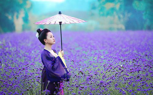 (抖音小说)苏月棠李秀琴免费阅读第3章