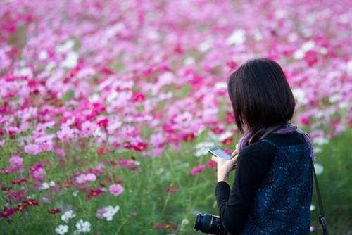 被判***后，我求阎王把家人们投入畜生道免费全文最新章节 韩文静韩文心在线阅读