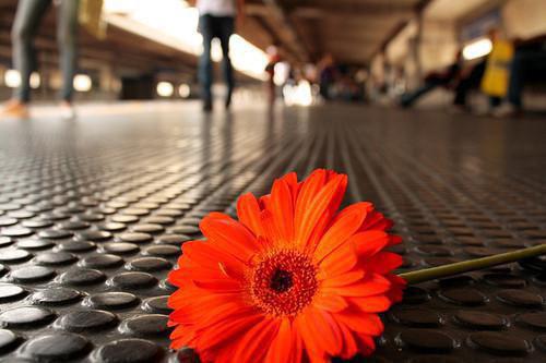 沈茹荷满儿免费阅读小说 沈茹荷满儿第6章