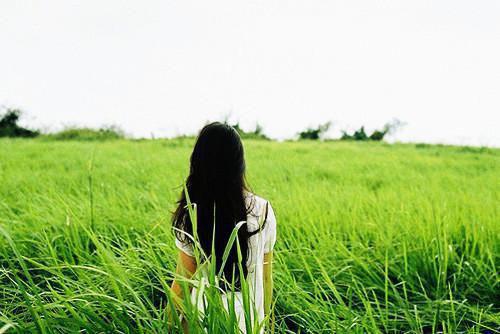 八零离婚再高嫁（苏梨傅锦洲）全文免费阅读无弹窗_苏梨傅锦洲最新小说_笔趣阁