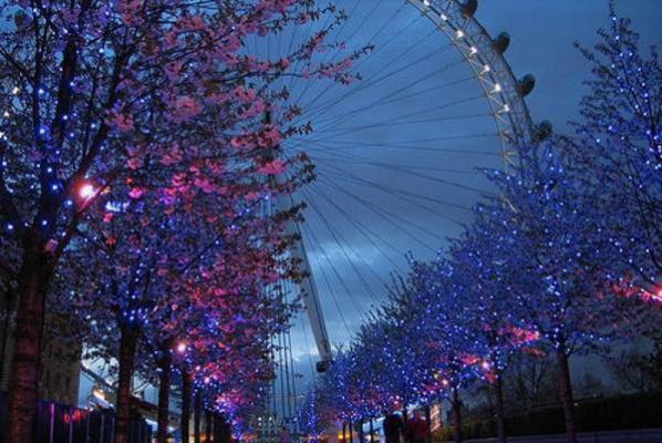 京圈太子爷疯了！抢婚竟是蓄谋已久首发小说 陆妄辞虞晚颜在线阅读