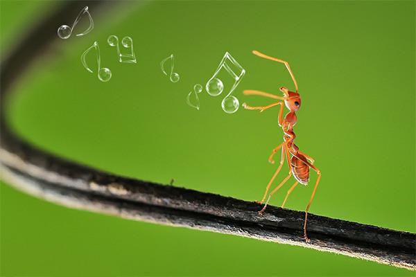 洪荒：我出关为人族做主林阳罗睺小说在线免费阅读(大结局)