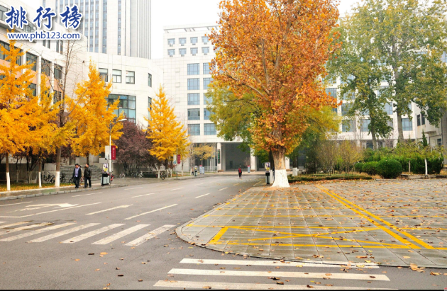 2018年山东大学世界排名,附9个专业世界排名
