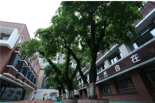 重庆市公立小学排名榜 重庆市育英小学校上榜沙坪坝小学历史悠久