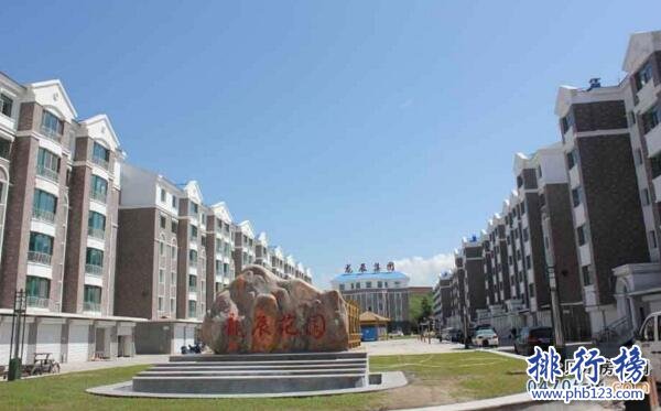 2017内蒙古呼伦贝尔房地产公司排名，呼伦贝尔房地产开发商排名