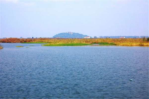 常州十大公园广场排名：青枫公园上榜，第三湿地为主