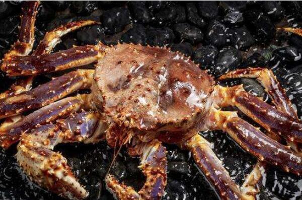 世界上最珍贵的四大海鲜 东星斑上榜，第一是“蟹中之王”