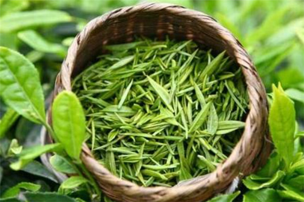 浙江十大名茶排行榜：径山茶上榜，第一是西湖龙井